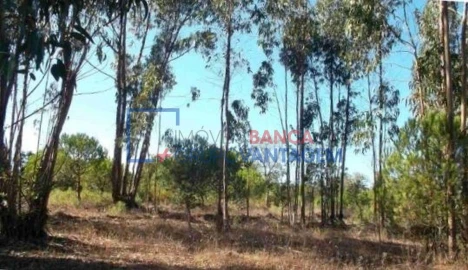 Terreno Agricola ou Rústico para Venda em São Teotónio