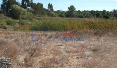 Terreno Agricola ou Rústico para Venda em São Teotónio