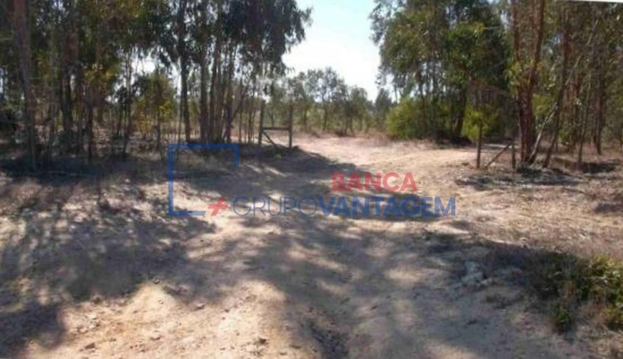 Terreno Agricola ou Rústico para Venda em São Teotónio Foto 2