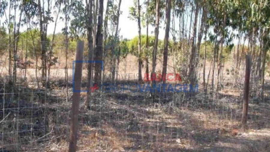 Terreno Agricola ou Rústico para Venda em São Teotónio
