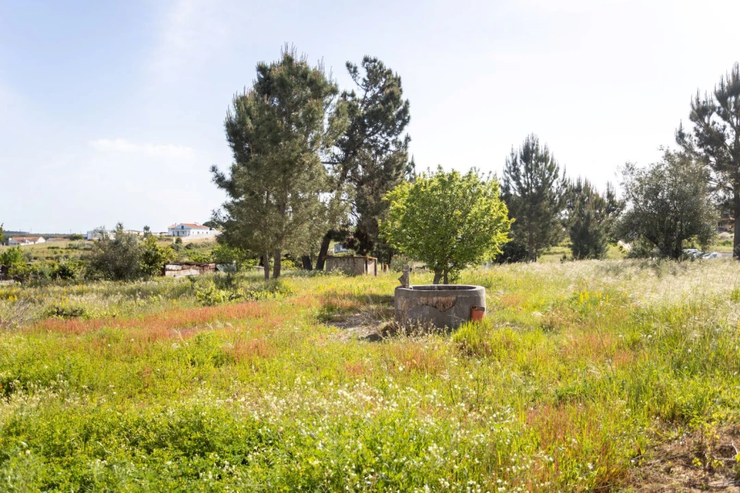 Moradia T1 para Venda em Coruche, Fajarda e Erra Foto 3