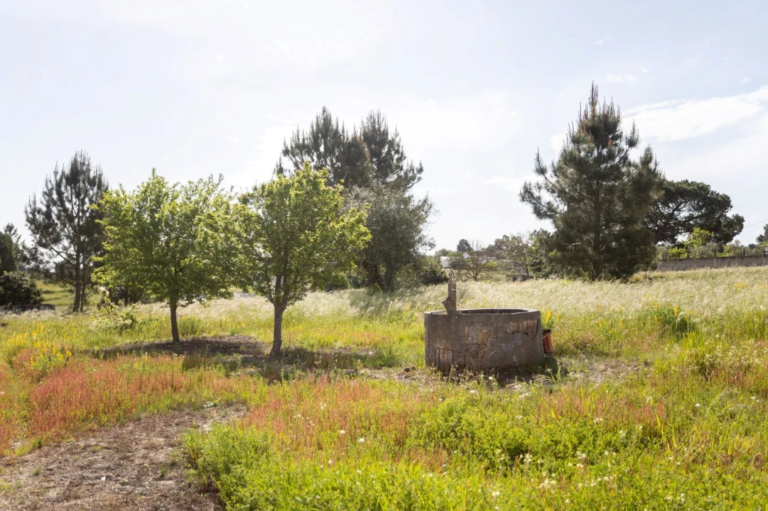 Moradia T1 para Venda em Coruche, Fajarda e Erra Foto 4