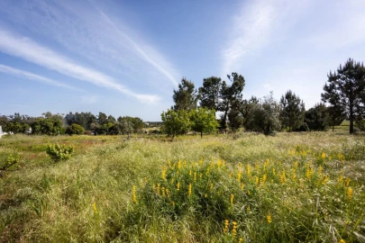 Moradia T1 para Venda em Coruche, Fajarda e Erra