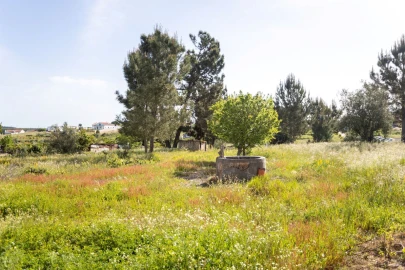 Moradia T1 para Venda em Coruche, Fajarda e Erra