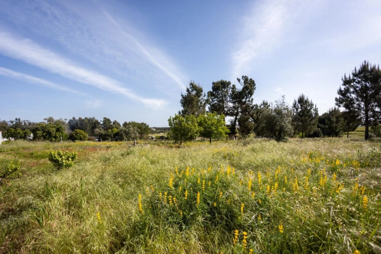 Moradia T1 para Venda em Coruche, Fajarda e Erra Foto 2