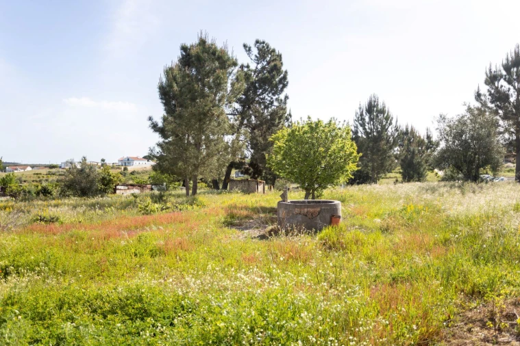 Moradia T1 para Venda em Coruche, Fajarda e Erra Foto 3