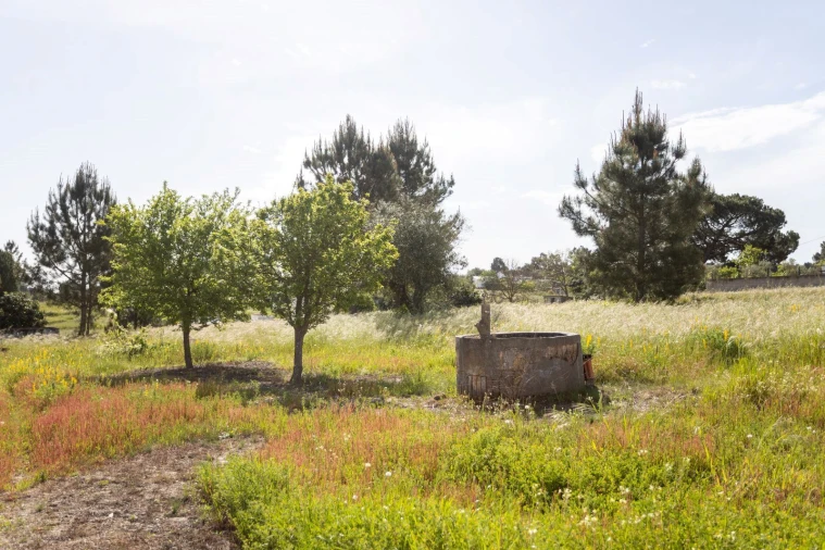 Moradia T1 para Venda em Coruche, Fajarda e Erra Foto 4