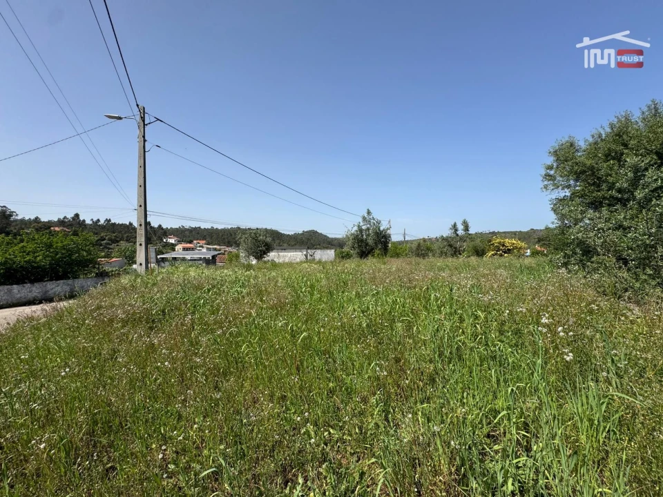 Terreno para Venda em Madalena e Beselga Foto 1