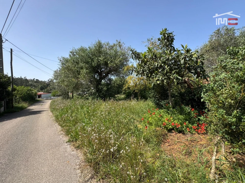 Terreno para Venda em Madalena e Beselga Foto 3