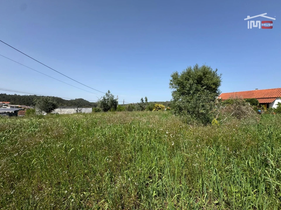 Terreno para Venda em Madalena e Beselga Foto 9