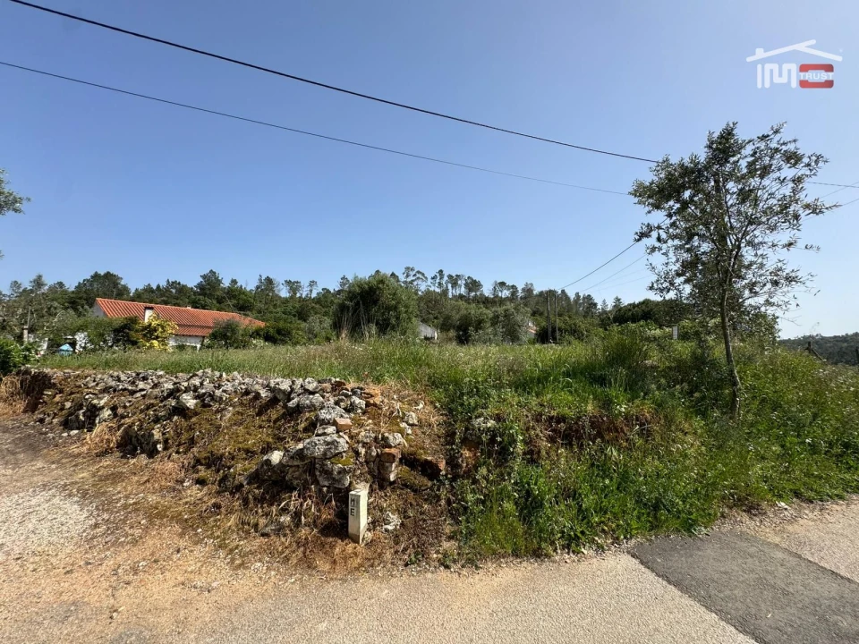 Terreno para Venda em Madalena e Beselga Foto 10