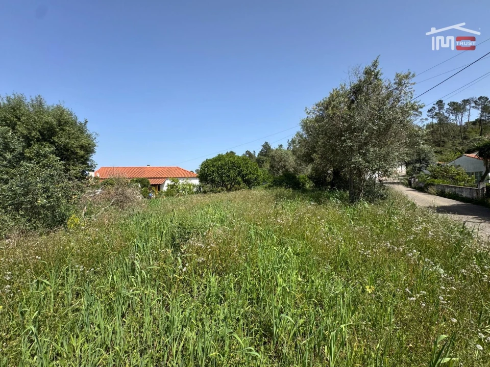 Terreno para Venda em Madalena e Beselga Foto 11