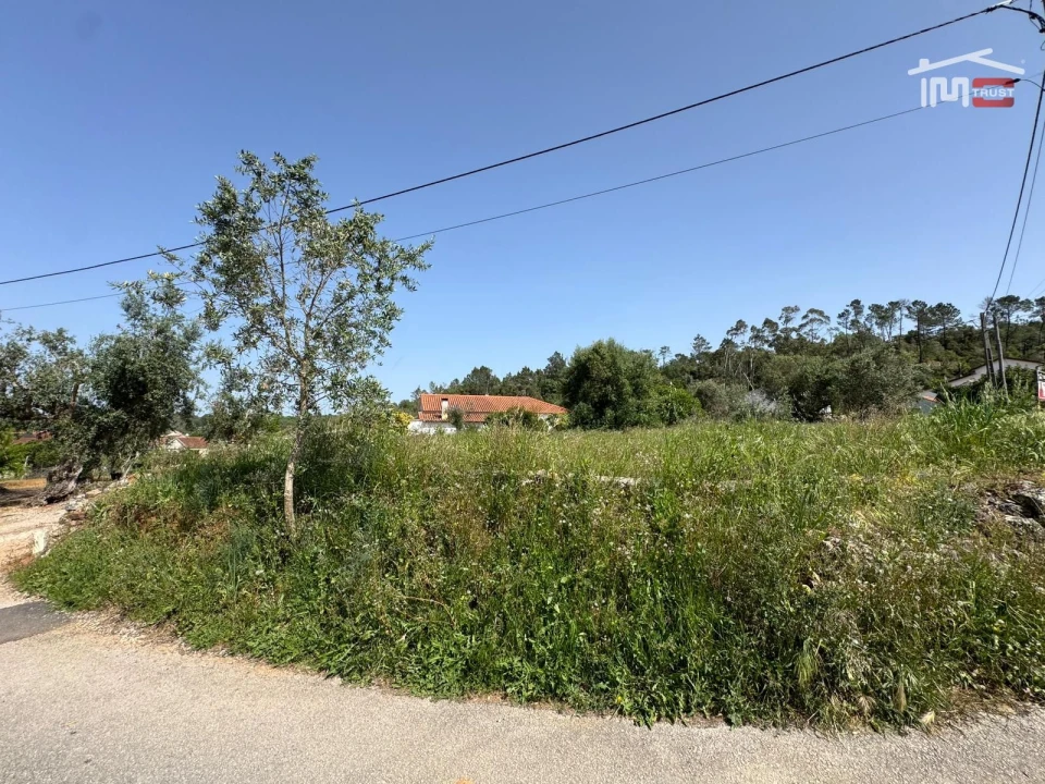 Terreno para Venda em Madalena e Beselga Foto 12