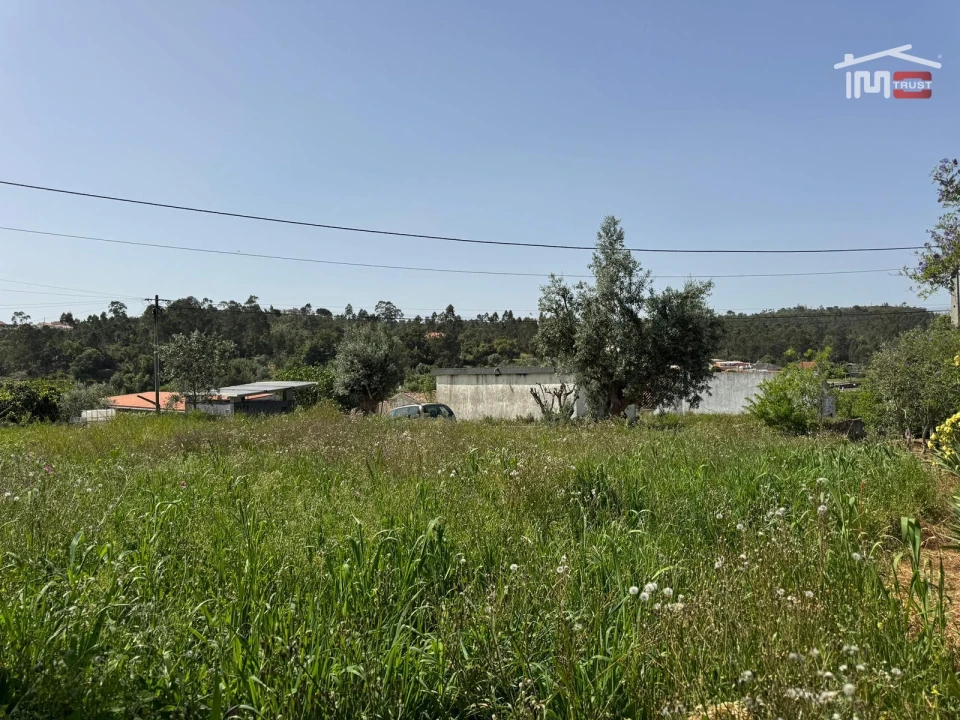 Terreno para Venda em Madalena e Beselga Foto 14