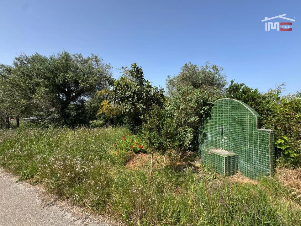 Terreno para Venda em Madalena e Beselga Foto 15