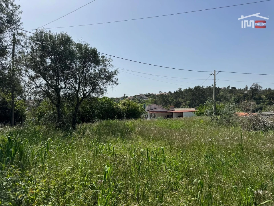 Terreno para Venda em Madalena e Beselga Foto 20