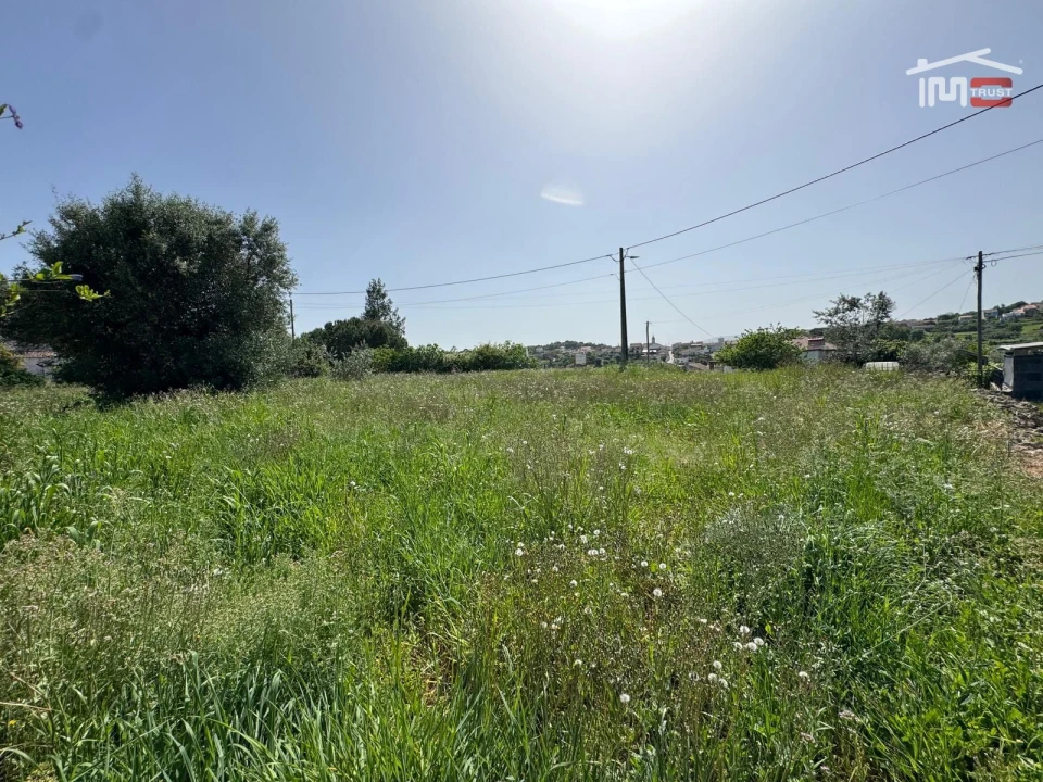 Terreno para Venda em Madalena e Beselga Foto 21