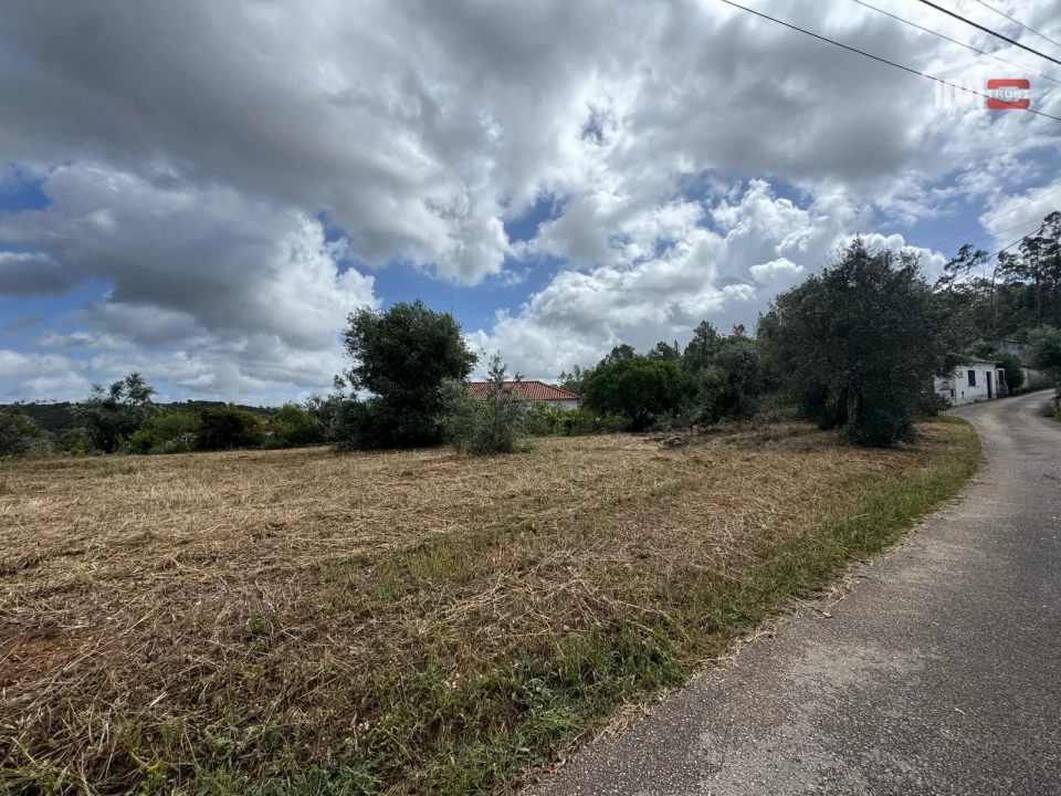 Terreno para Venda em Madalena e Beselga Foto 12