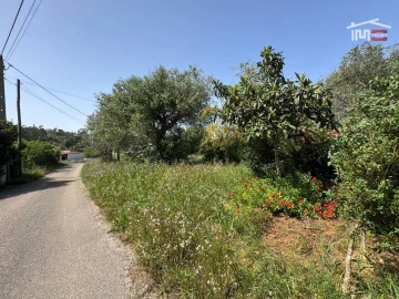 Terreno para Venda em Madalena e Beselga