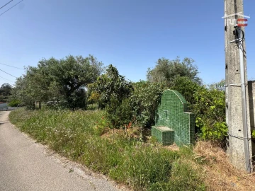Terreno para Venda em Madalena e Beselga