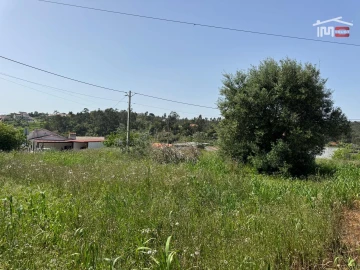 Terreno para Venda em Madalena e Beselga
