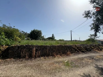 Terreno para Venda em Madalena e Beselga