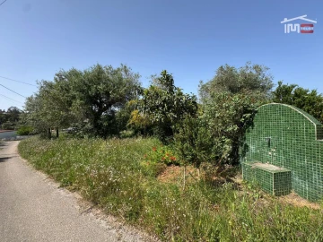 Terreno para Venda em Madalena e Beselga