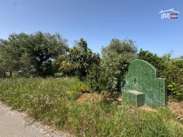 Terreno para Venda em Madalena e Beselga