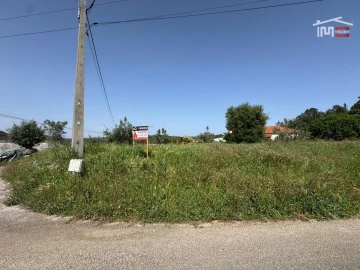 Terreno para Venda em Madalena e Beselga
