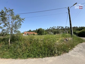 Terreno para Venda em Madalena e Beselga