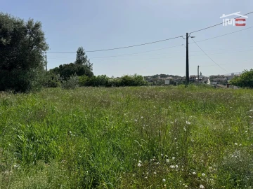 Terreno para Venda em Madalena e Beselga