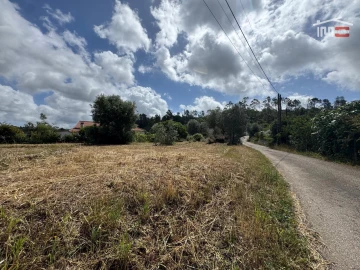Terreno para Venda em Madalena e Beselga