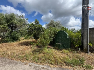 Terreno para Venda em Madalena e Beselga