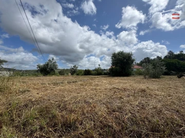 Terreno para Venda em Madalena e Beselga