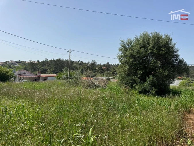 Terreno para Venda em Madalena e Beselga Foto 6