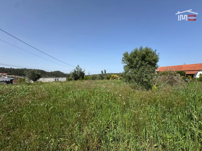 Terreno para Venda em Madalena e Beselga Foto 9