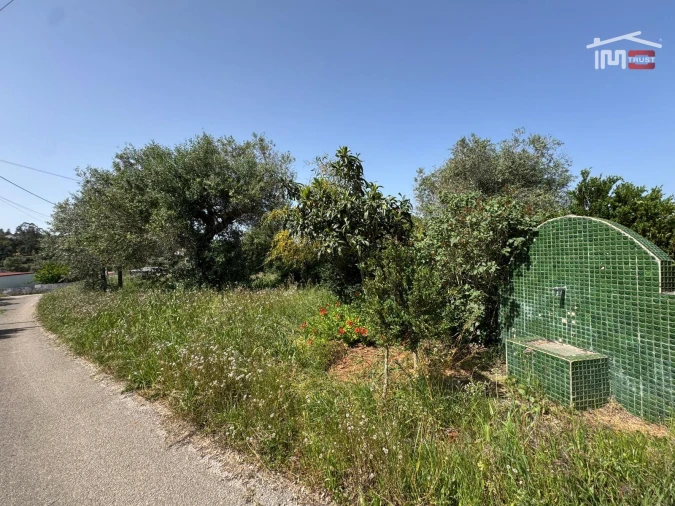 Terreno para Venda em Madalena e Beselga Foto 13