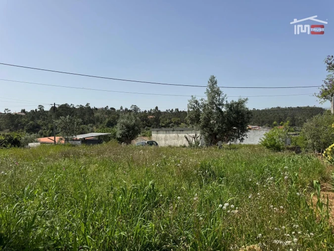 Terreno para Venda em Madalena e Beselga Foto 14