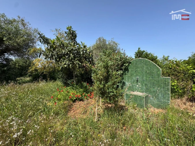 Terreno para Venda em Madalena e Beselga Foto 24