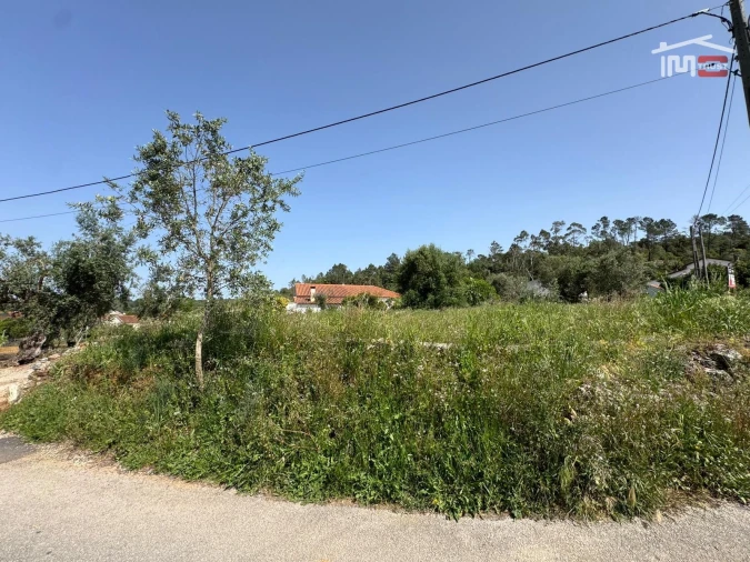 Terreno para Venda em Madalena e Beselga Foto 28