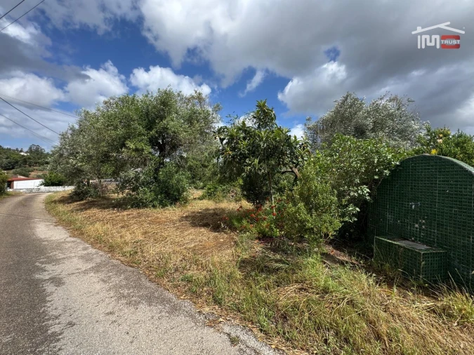 Terreno para Venda em Madalena e Beselga Foto 3