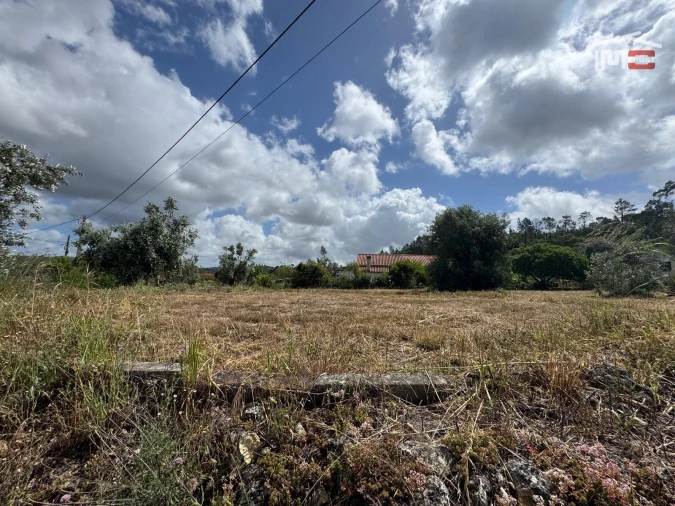 Terreno para Venda em Madalena e Beselga Foto 10