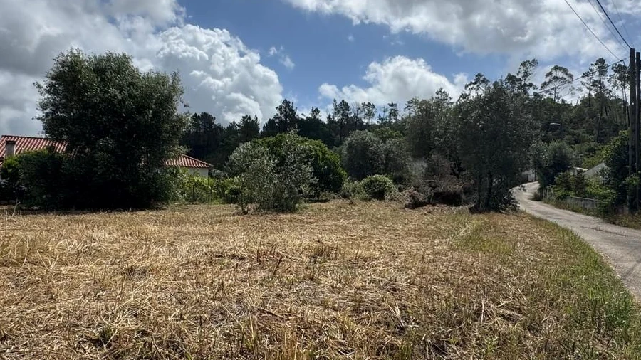 Terreno para Venda em Madalena e Beselga