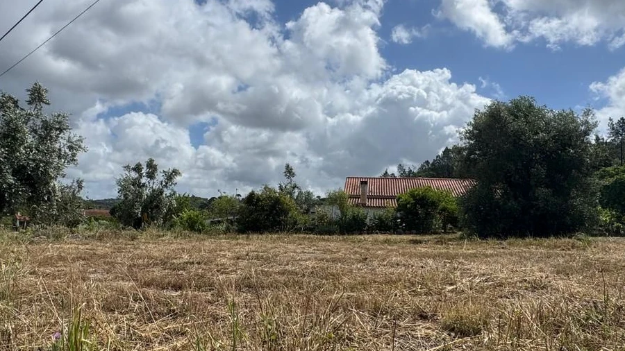 Terreno para Venda em Madalena e Beselga