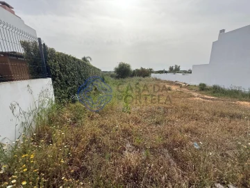 Terreno para Venda em Montenegro