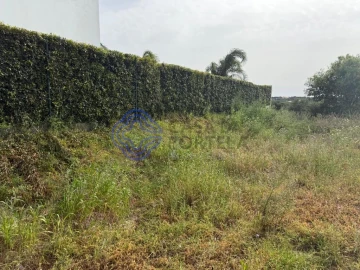 Terreno para Venda em Montenegro