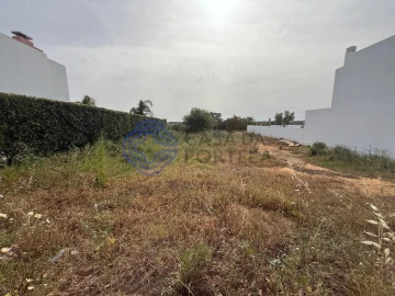 Terreno para Venda em Montenegro