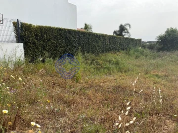 Terreno para Venda em Montenegro