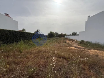 Terreno para Venda em Montenegro