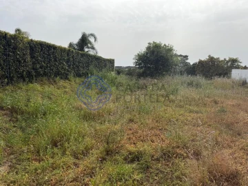 Terreno para Venda em Montenegro